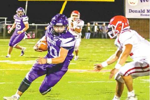 Article Image Alt Text