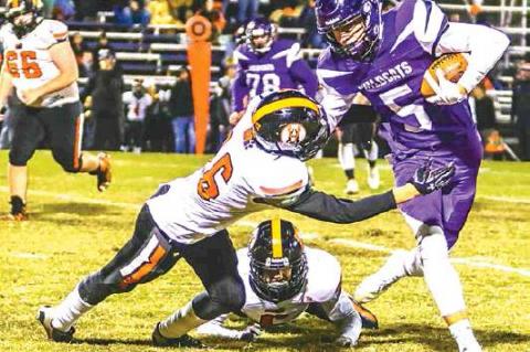 Article Image Alt Text