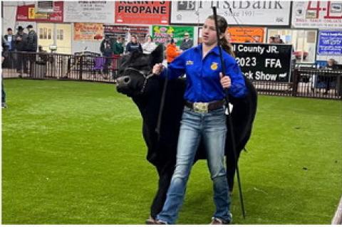 Tupelo Livestock Show