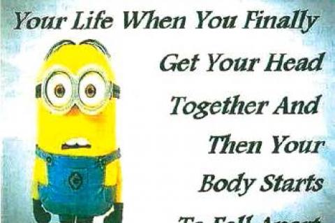 Article Image Alt Text