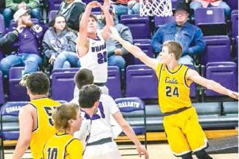 Article Image Alt Text