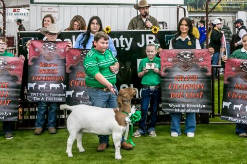 Coal County Junior Livestock Show Premium Sale Results