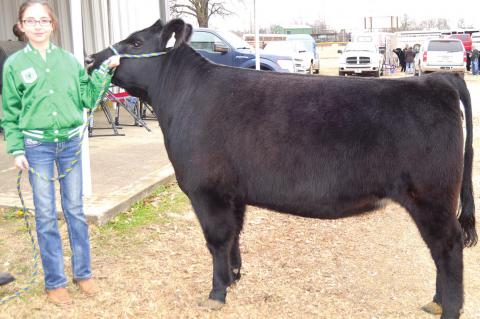 FFA, 4-H members participate in SE Regional Livestock Show