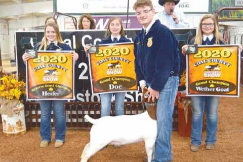 County Junior Livestock Premium Sale Winners 