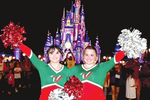 Article Image Alt Text