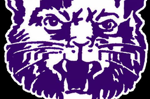 Wildcat Baseball Round-up