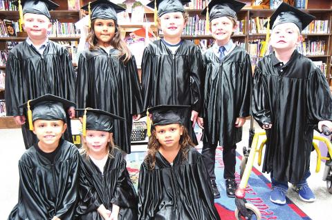 Coalgate Police Citations